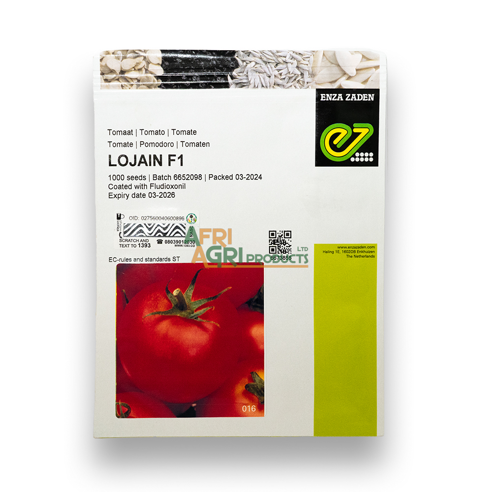 Tomato Lojain F1 (1,000)
